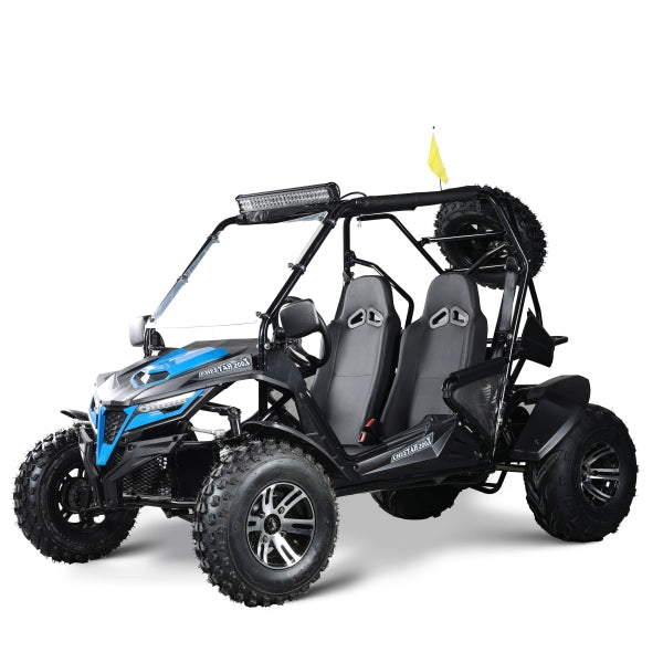 Buggy MRM Cheetah200x Jugend-Erwachsenenbuggy