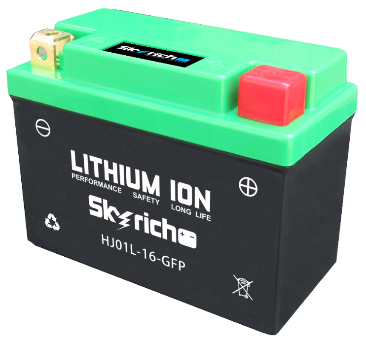 Skyrich Starterbatterie 12,8V Lithium