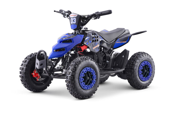 E-Quad MRM Repti De-Luxe 1000 Watt 36 Volt 6 Zoll 3 Stufen Drossel