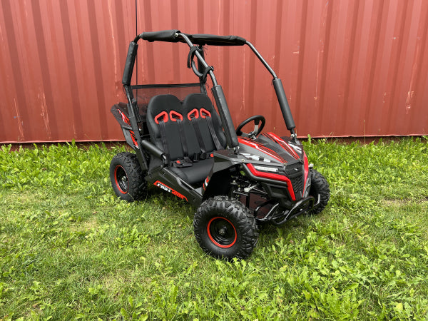 Buggy Ceetah Mini 163 ccm OHC 4 Takt Motor 2 Sitzer