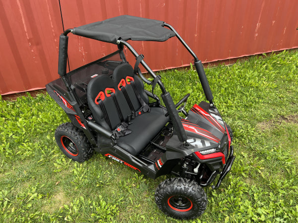 Buggy Ceetah Mini 163 ccm OHC 4 Takt Motor 2 Sitzer