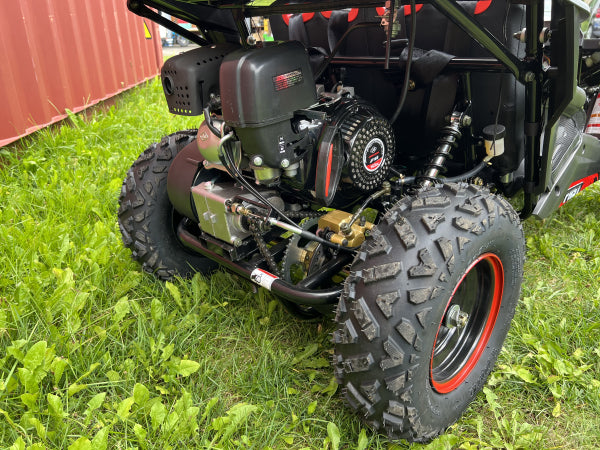 Buggy Ceetah Mini 163 ccm OHC 4 Takt Motor 2 Sitzer