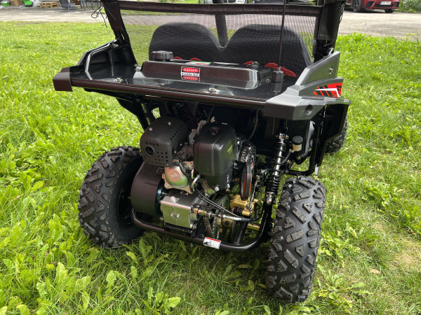 Buggy Ceetah Mini 163 ccm OHC 4 Takt Motor 2 Sitzer