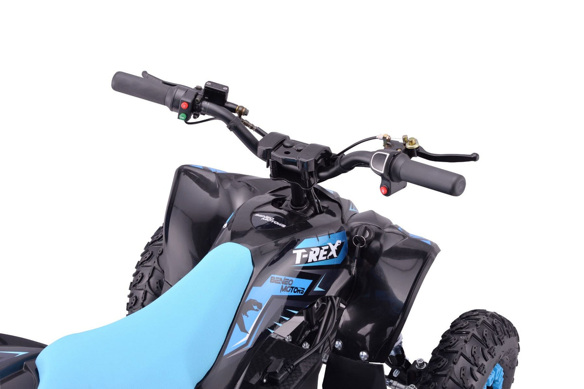 Kinder E-Quad T-REX 1300 Watt 48 Volt 12Ah