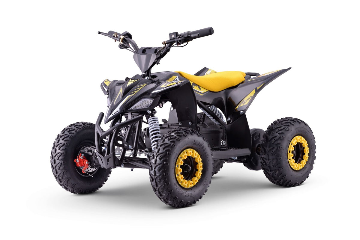 Kinder E-Quad T-REX 1300 Watt 48 Volt 12Ah