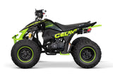 NITRO MOTORS 250cc maxi Quad Celavi RS10 4-Gang Manuell Platin
