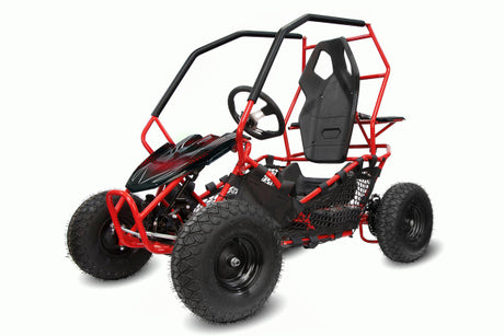 NITRO MOTORS 1000W Eco midi Kinder Buggy Racer PRM 6 Zoll ALM