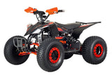Elektro Quad eRaptor 60V 1500W Deluxe 8 Zoll