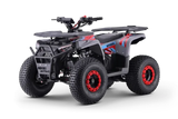 Quad fuer Kinder 125 ccm Beneo Motors Warrior Ab 8 Jahren Rueckwaertsgang Geschwindigkeitsbegrenzung und E-Start Display