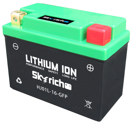 Skyrich Starterbatterie 12,8V Lithium