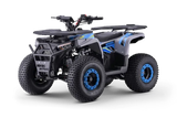 Quad fuer Kinder 125 ccm Beneo Motors Warrior Ab 8 Jahren Rueckwaertsgang Geschwindigkeitsbegrenzung und E-Start Display