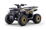 Quad fuer Kinder 125 ccm Beneo Motors Warrior Ab 8 Jahren Rueckwaertsgang Geschwindigkeitsbegrenzung und E-Start Display
