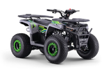 Quad fuer Kinder 125 ccm Beneo Motors Warrior Ab 8 Jahren Rueckwaertsgang Geschwindigkeitsbegrenzung und E-Start Display