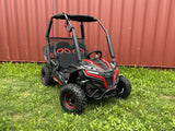 Buggy Ceetah Mini 163 ccm OHC 4 Takt Motor 2 Sitzer