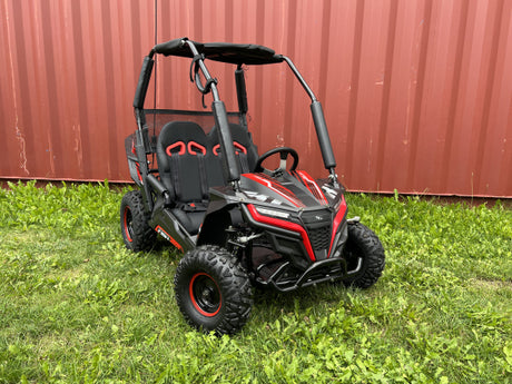 Buggy Ceetah Mini 163 ccm OHC 4 Takt Motor 2 Sitzer