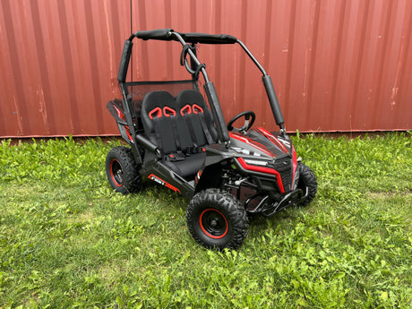 Buggy Ceetah Mini 163 ccm OHC 4 Takt Motor 2 Sitzer