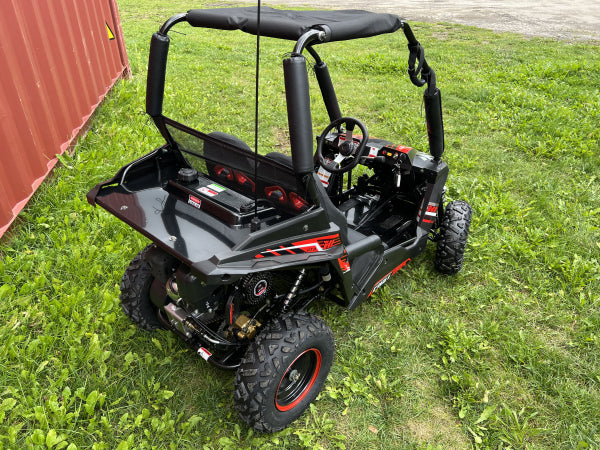 Buggy Ceetah Mini 163 ccm OHC 4 Takt Motor 2 Sitzer