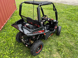 Buggy Ceetah Mini 163 ccm OHC 4 Takt Motor 2 Sitzer