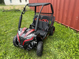 Buggy Ceetah Mini 163 ccm OHC 4 Takt Motor 2 Sitzer