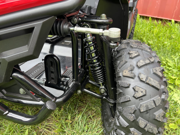 Buggy Ceetah Mini 163 ccm OHC 4 Takt Motor 2 Sitzer