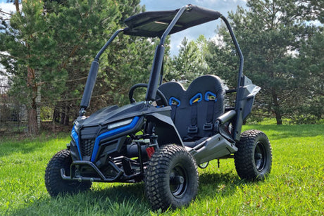 Buggy Ceetah Mini 163 ccm OHC 4 Takt Motor 2 Sitzer