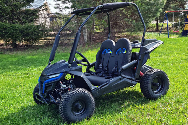 Buggy Ceetah Mini 163 ccm OHC 4 Takt Motor 2 Sitzer