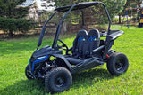 Buggy Ceetah Mini 163 ccm OHC 4 Takt Motor 2 Sitzer