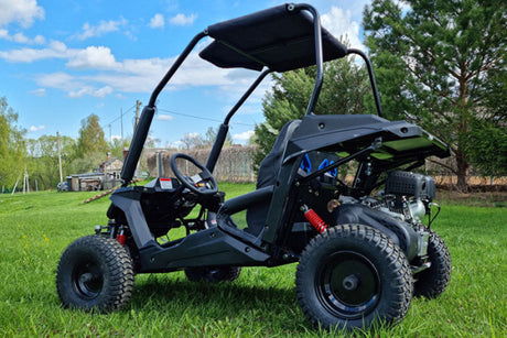 Buggy Ceetah Mini 163 ccm OHC 4 Takt Motor 2 Sitzer