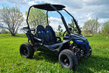 Buggy Ceetah Mini 163 ccm OHC 4 Takt Motor 2 Sitzer