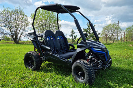 Buggy Ceetah Mini 163 ccm OHC 4 Takt Motor 2 Sitzer