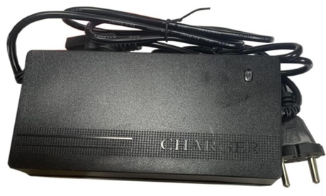 Schnell-Ladegerät für 60 Volt Fahrzeuge großer Stecker 220Volt