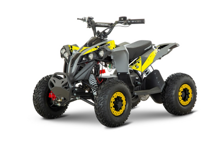 Avenger Mini Gate Elektroquad 1200W 48V LED Fernbedienung