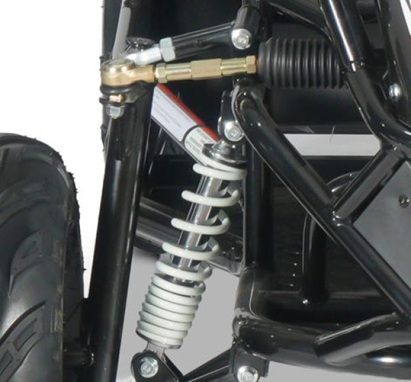 E-Buggy RSX-XL 2000W 60V 20Ah 2-Sitzer Buerstenloser Motor Kardanantrieb