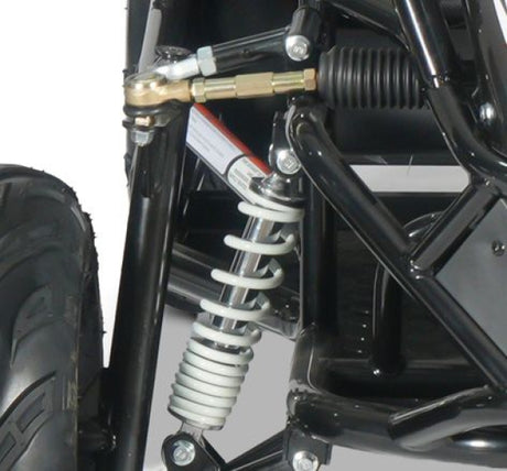 E-Buggy RSX-XL 2000W 60V 20Ah 2-Sitzer Buerstenloser Motor Kardanantrieb
