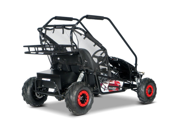 E-Buggy RSX-XL 2000W 60V 20Ah 2-Sitzer Buerstenloser Motor Kardanantrieb