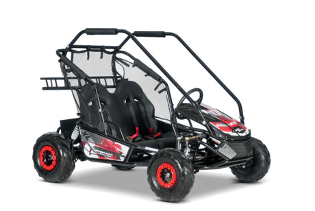 E-Buggy RSX-XL 2000W 60V 20Ah 2-Sitzer Buerstenloser Motor Kardanantrieb