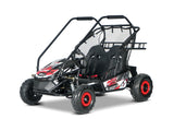 E-Buggy RSX-XL 2000W 60V 20Ah 2-Sitzer Buerstenloser Motor Kardanantrieb
