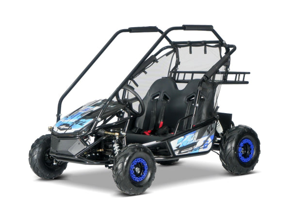 E-Buggy RSX-XL 2000W 60V 20Ah 2-Sitzer Buerstenloser Motor Kardanantrieb