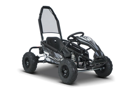 Benzinbetriebener Gokart fuer Kinder BUGGY RSX 98 ccm
