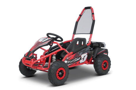 Benzinbetriebener Gokart fuer Kinder BUGGY RSX 98 ccm