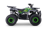 Quad fuer Kinder 125 ccm Beneo Motors Warrior Ab 8 Jahren Rueckwaertsgang Geschwindigkeitsbegrenzung und E-Start Display