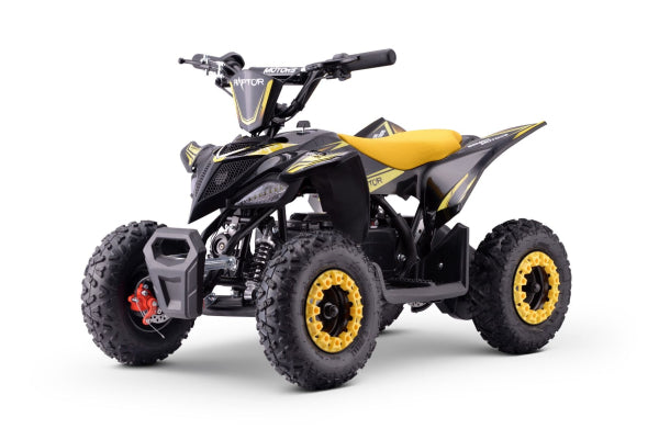 ATV - Mini-Quad fuer Kinder Raptor 800 Watt 36 Volt