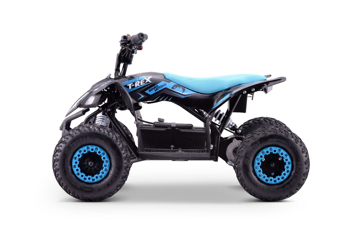 Kinder E-Quad T-REX 1300 Watt 48 Volt 12Ah