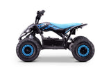 Kinder E-Quad T-REX 1300 Watt 48 Volt 12Ah