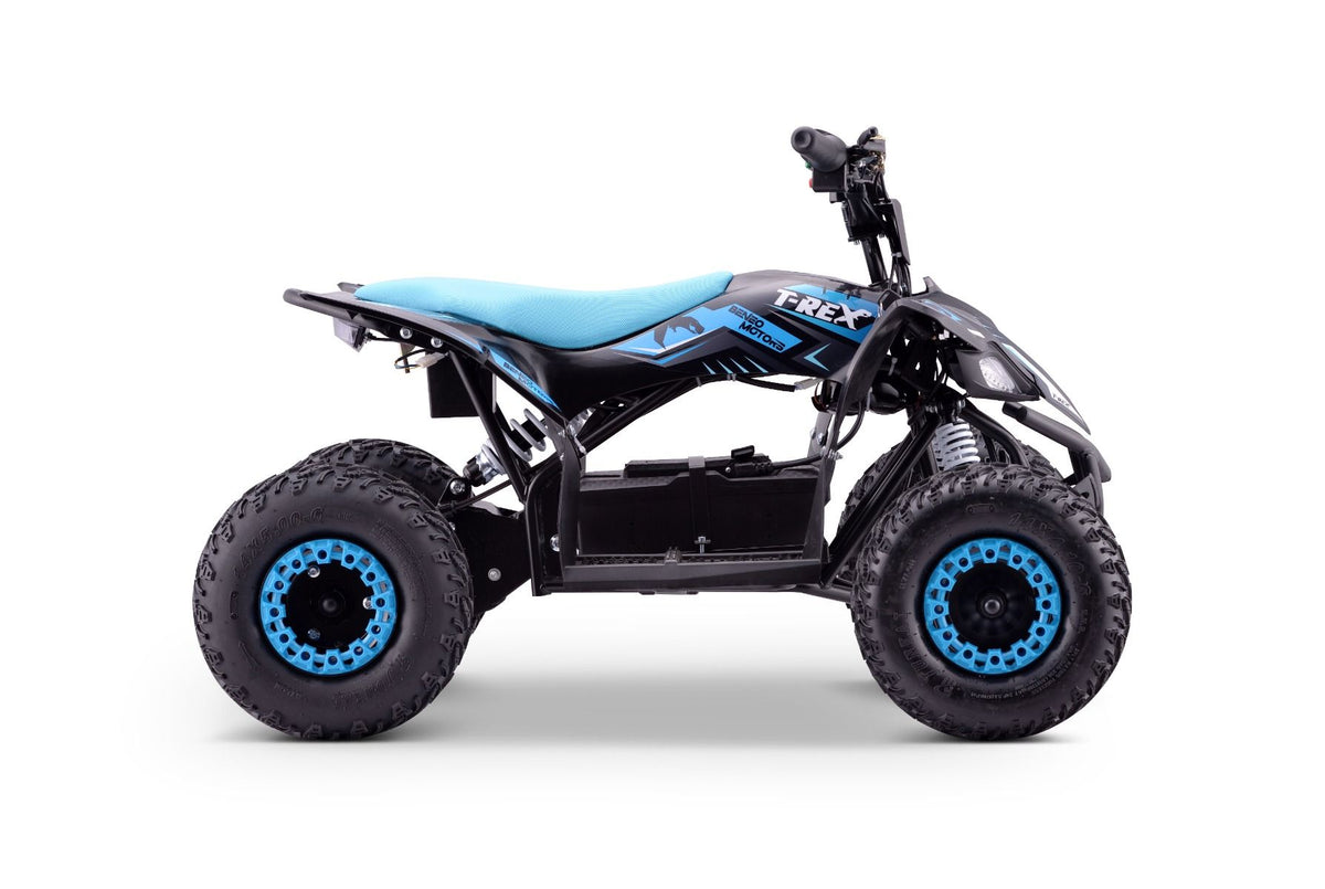 Kinder E-Quad T-REX 1300 Watt 48 Volt 12Ah