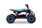 Kinder E-Quad T-REX 1300 Watt 48 Volt 12Ah