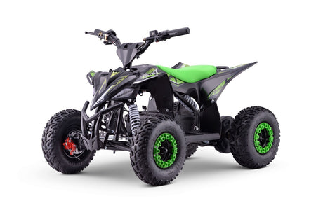 Kinder E-Quad T-REX 1300 Watt 48 Volt 12Ah