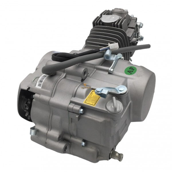 Pitbike-Motor YX 140 mit Rennnockenwelle Z40 passt für Kayo TT 140