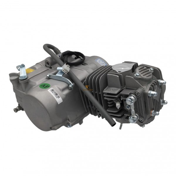 Pitbike-Motor YX 140ccm mit Rennnockenwelle Z40
