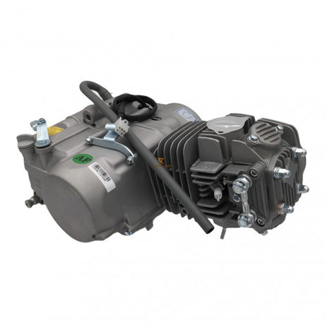 Pitbike-Motor YX 140ccm mit Rennnockenwelle Z40